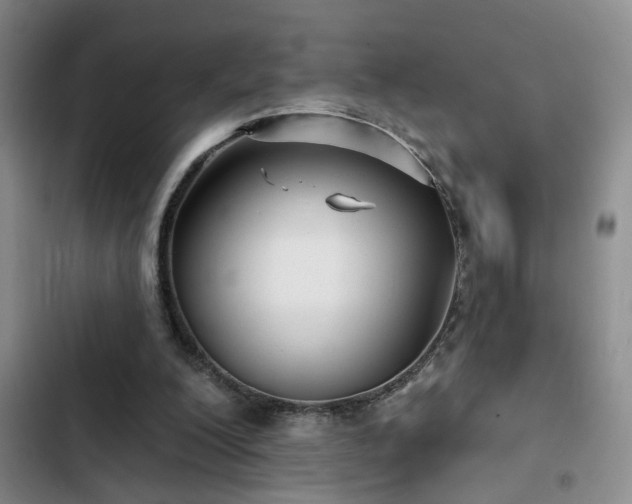 X0000102830200200808181332