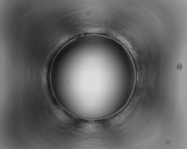 X0000102830201200808181332