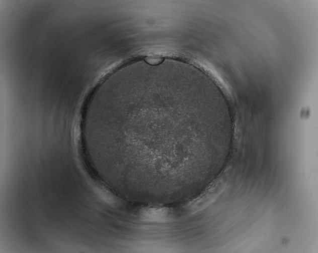 X0000102830202200808181332