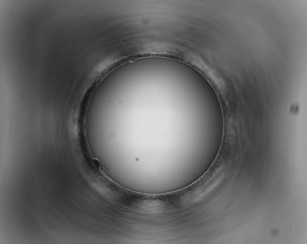 X0000102830203200808181332