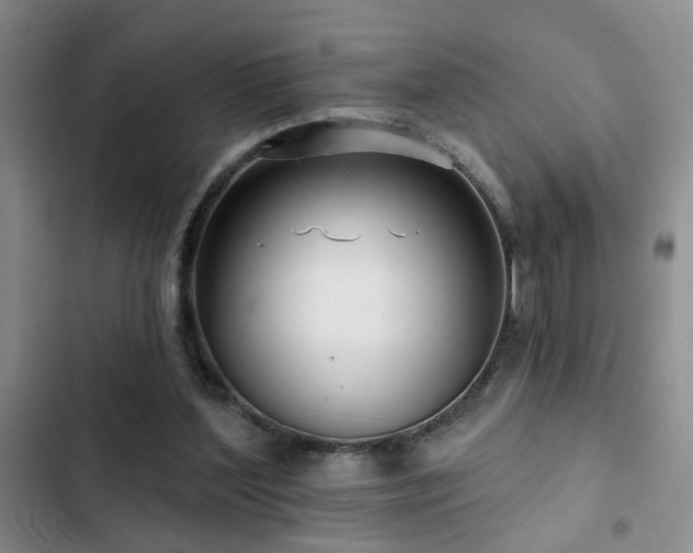 X0000102830204200808181332