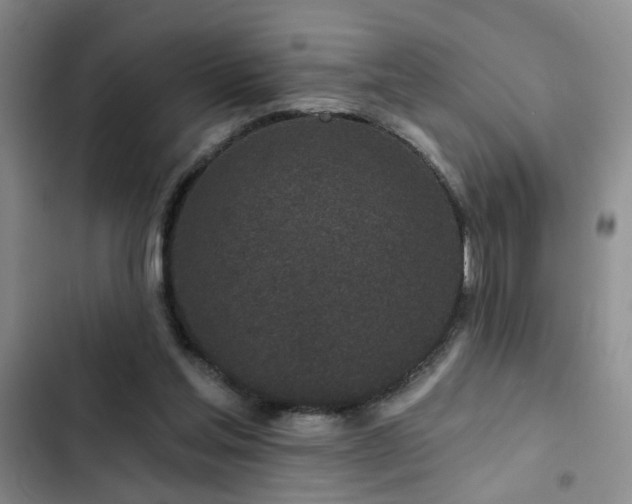 X0000102830205200808181332