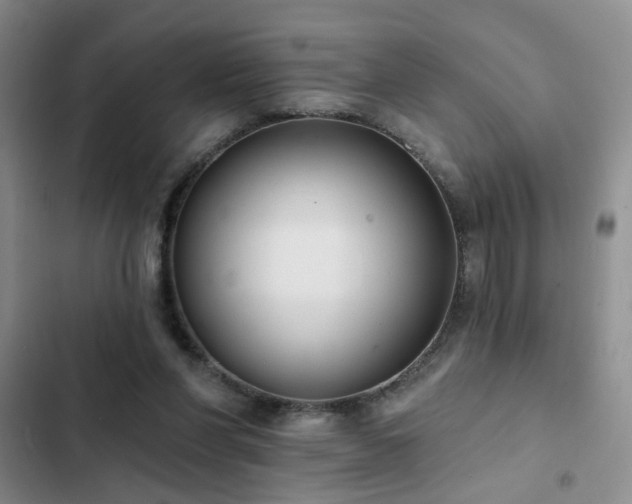 X0000102830206200808181332