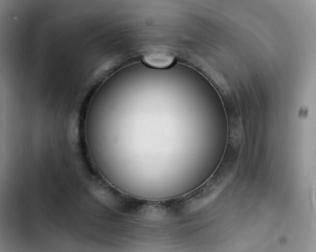 X0000102830207200808181332