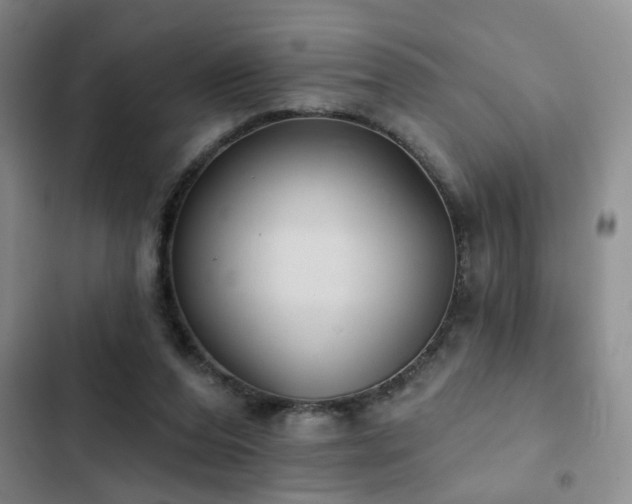 X0000102830208200808181332