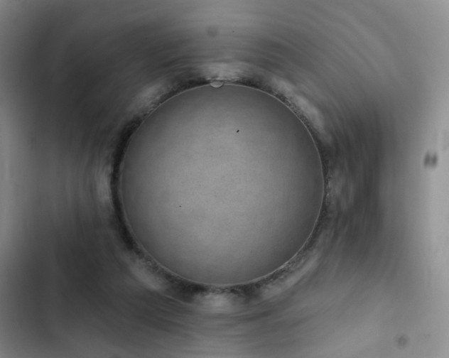 X0000102830209200808181332