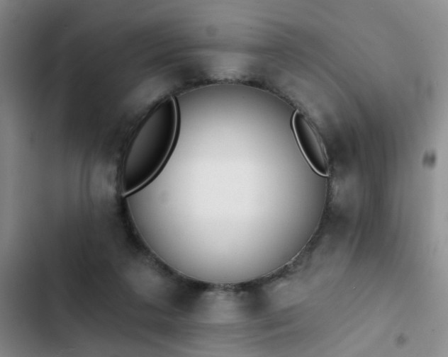 X0000102830211200808181332