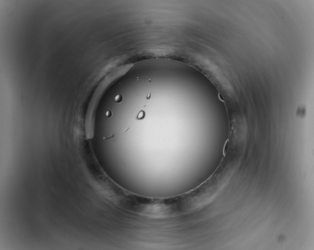 X0000102830212200808181332