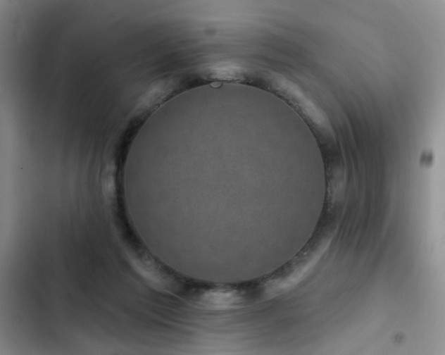 X0000102830213200808181332