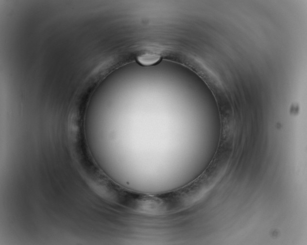 X0000102830215200808181332