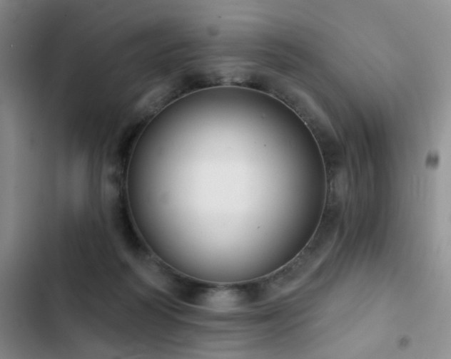 X0000102830218200808181332