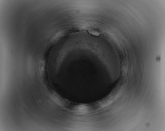 X0000102830219200808181332