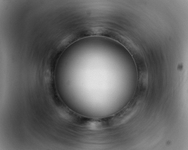 X0000102830220200808181332