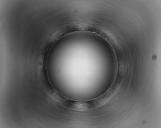 X0000102830221200808181332