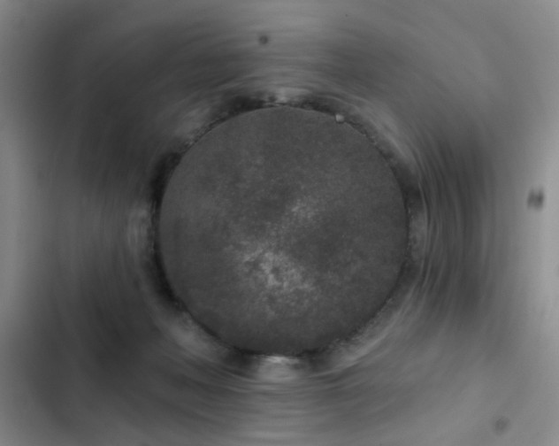 X0000102830222200808181332