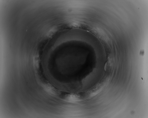 X0000102830223200808181332