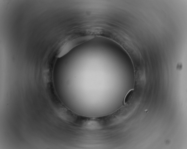 X0000102830224200808181332