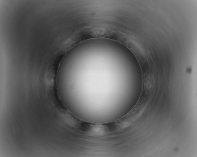 X0000102830226200808181332