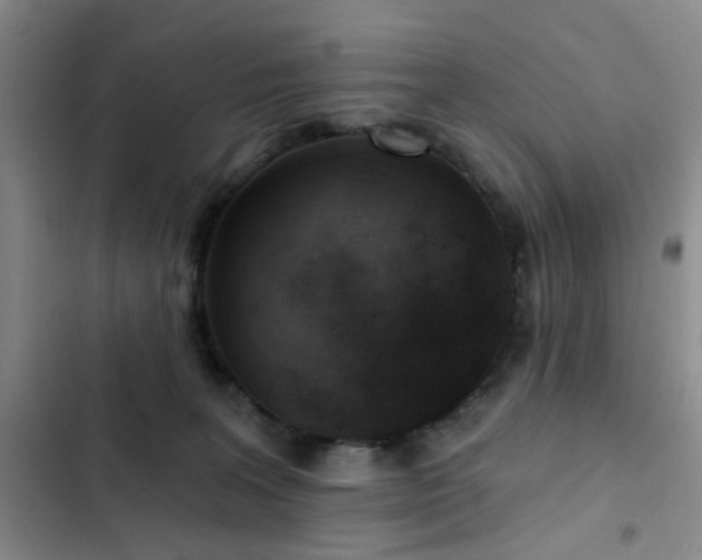 X0000102830227200808181332