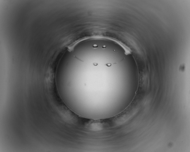 X0000102830228200808181332