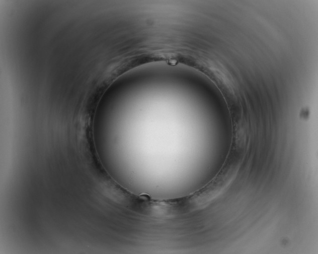 X0000102830229200808181332