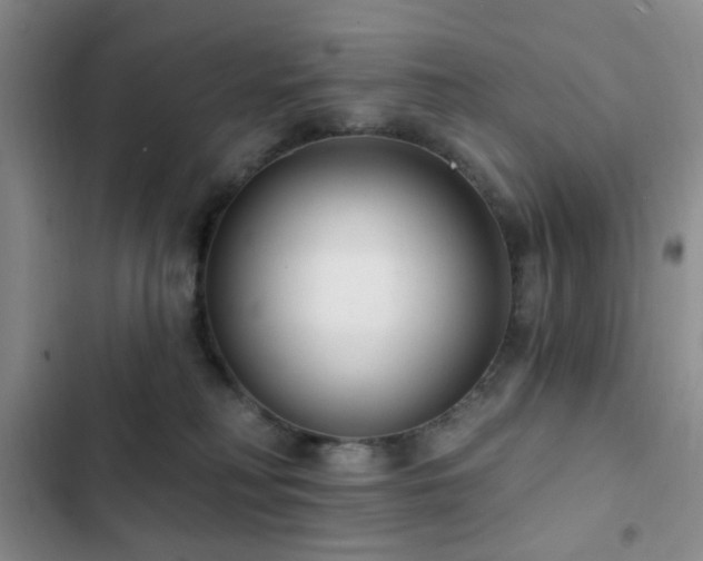 X0000102830230200808181331