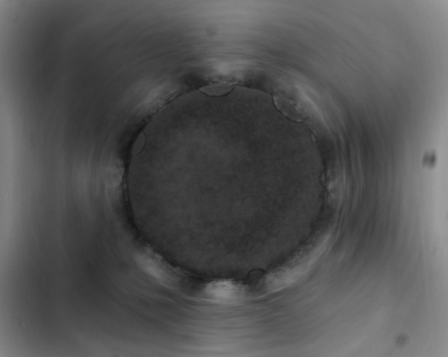 X0000102830231200808181331