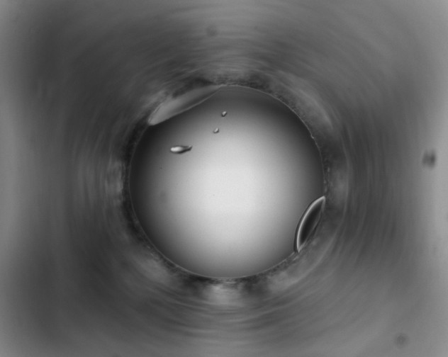 X0000102830232200808181331