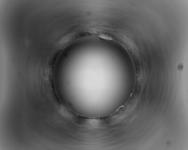 X0000102830233200808181331