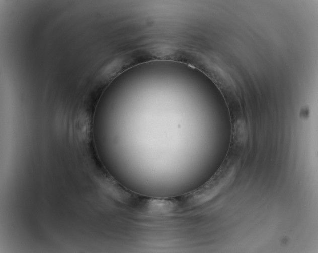 X0000102830234200808181331