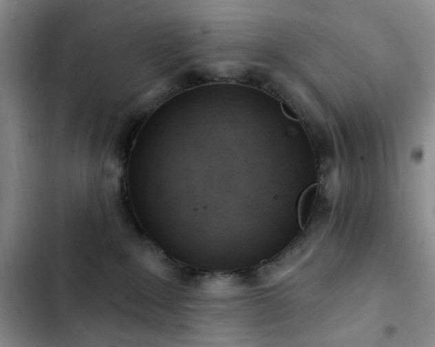 X0000102830235200808181331