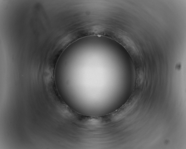 X0000102830236200808181331