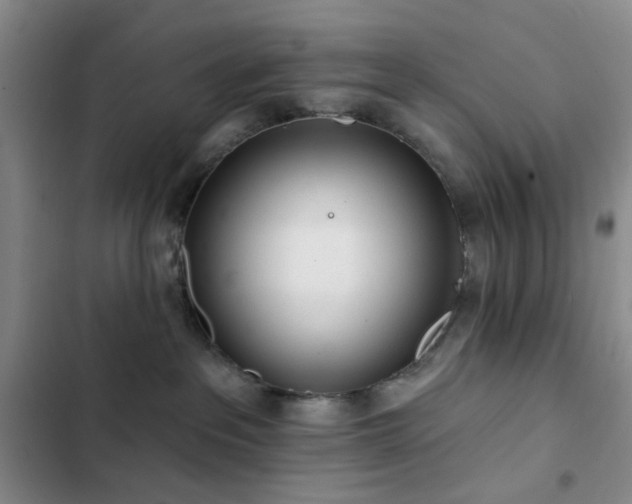 X0000102830237200808181331