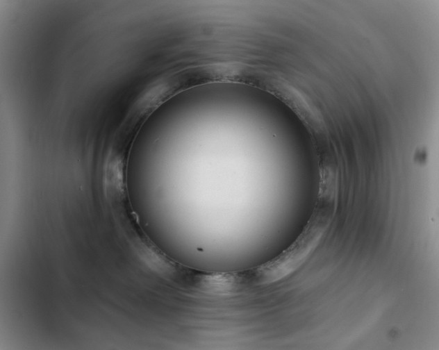 X0000102830238200808181331