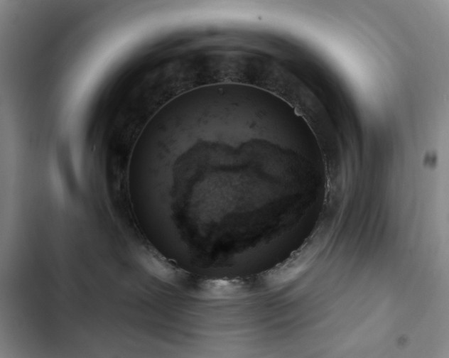 X0000102830239200808181331