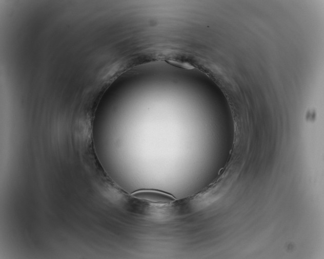 X0000102830240200808181331