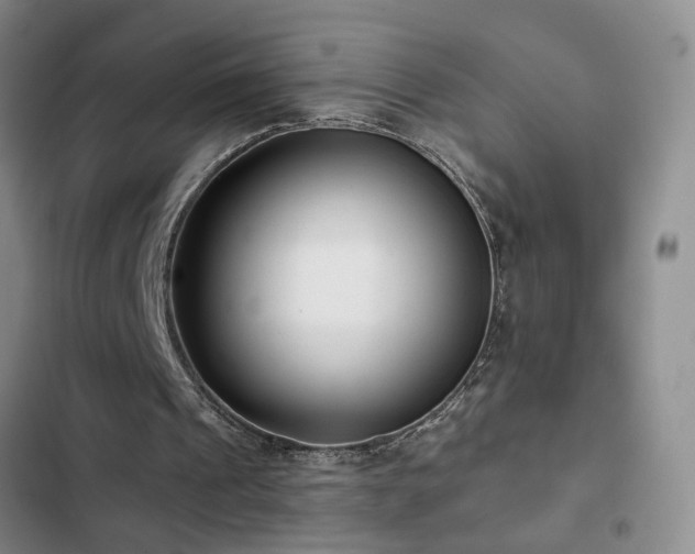 X0000102830241200808181331