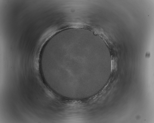 X0000102830243200808181331