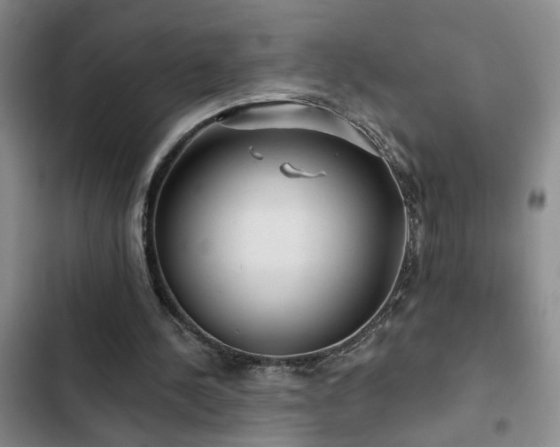 X0000102830244200808181331