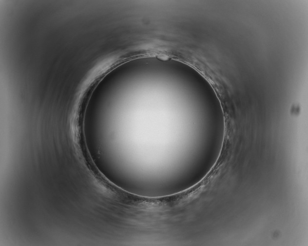 X0000102830245200808181331