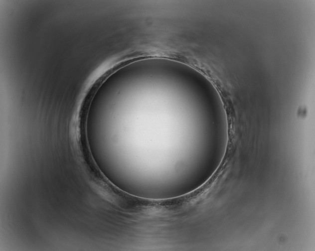 X0000102830246200808181331