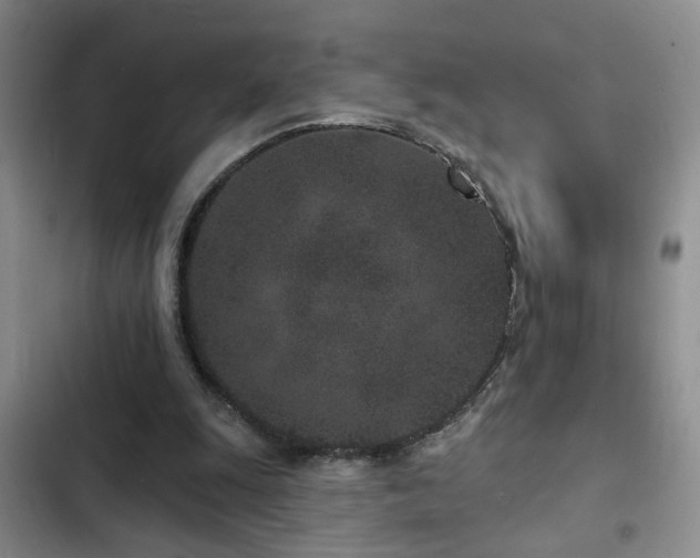 X0000102830247200808181331