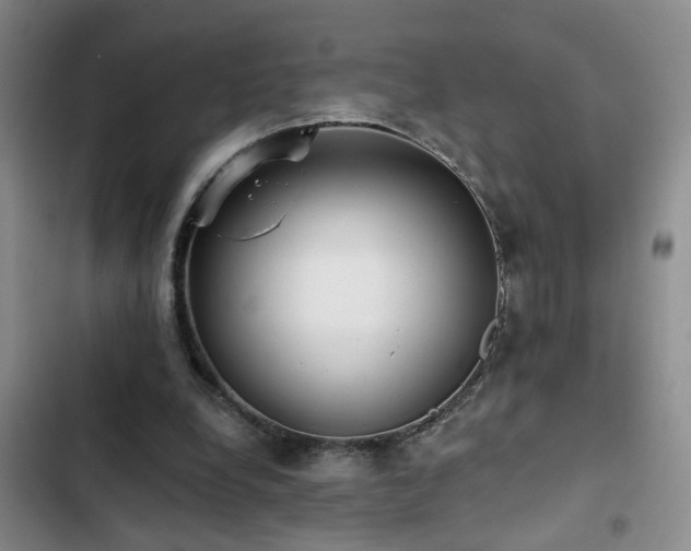 X0000102830248200808181331