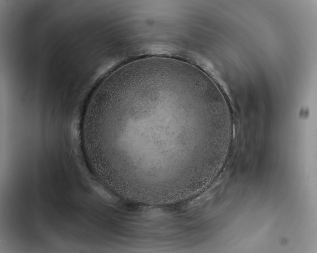 X0000102830249200808181331