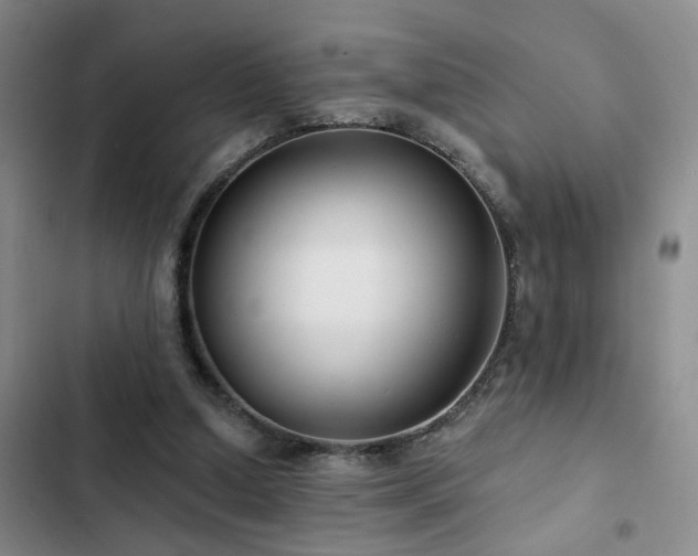 X0000102830250200808181331