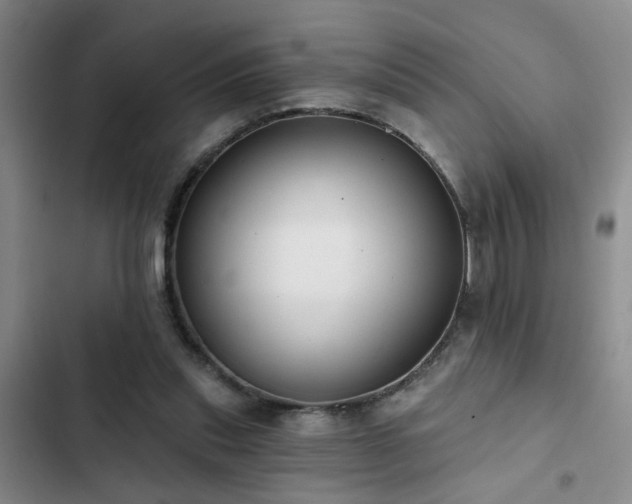 X0000102830253200808181331