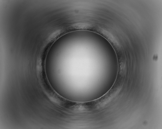 X0000102830254200808181331