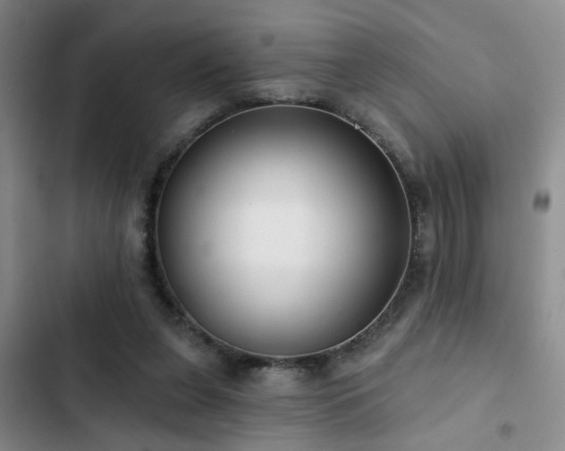 X0000102830255200808181331