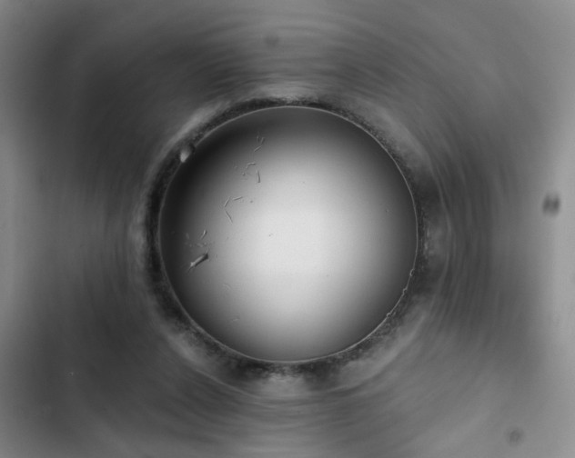 X0000102830256200808181331