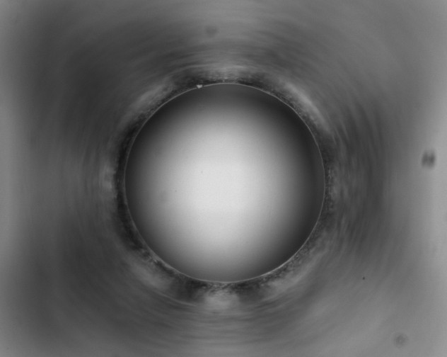 X0000102830258200808181331